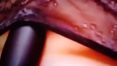 Киски и игрушки