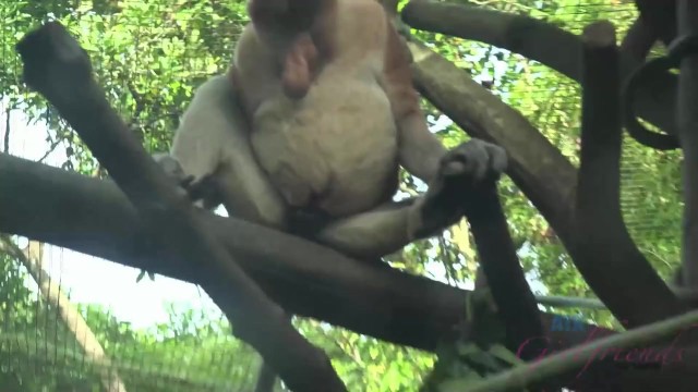 Домашний ролик