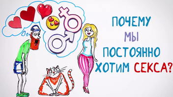 Почему нам постоянно хочется СЕКСА?